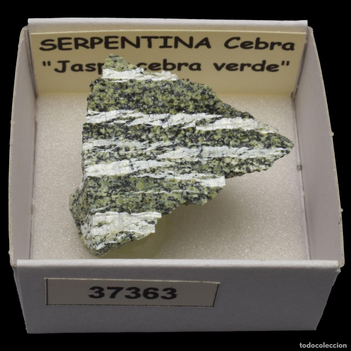 Sammlung von Mineralien: SERPENTINA Cebra &rdquo;Jaspe cebra verde&rdquo; (Brasil) #37363