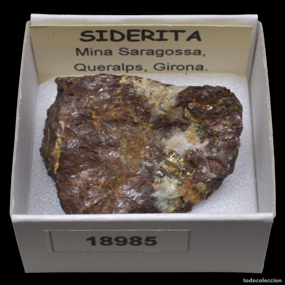 Coleccionismo de minerales: SIDERITA (Mina Zaragoza, Queralps, Girona, Espa&ntilde;a) #18985