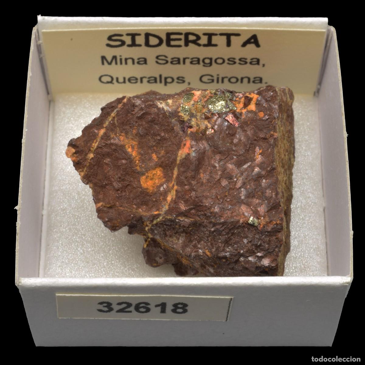 Coleccionismo de minerales: SIDERITA (Mina Zaragoza, Queralps, Girona, Espa&ntilde;a) #32618