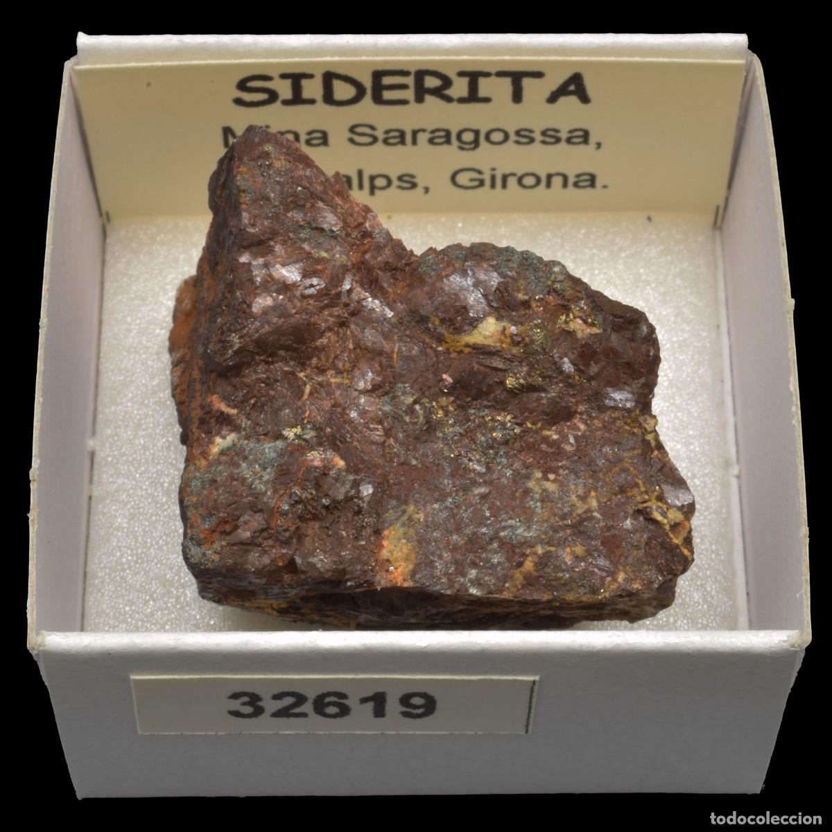 Coleccionismo de minerales: SIDERITA (Mina Zaragoza, Queralps, Girona, Espa&ntilde;a) #32619