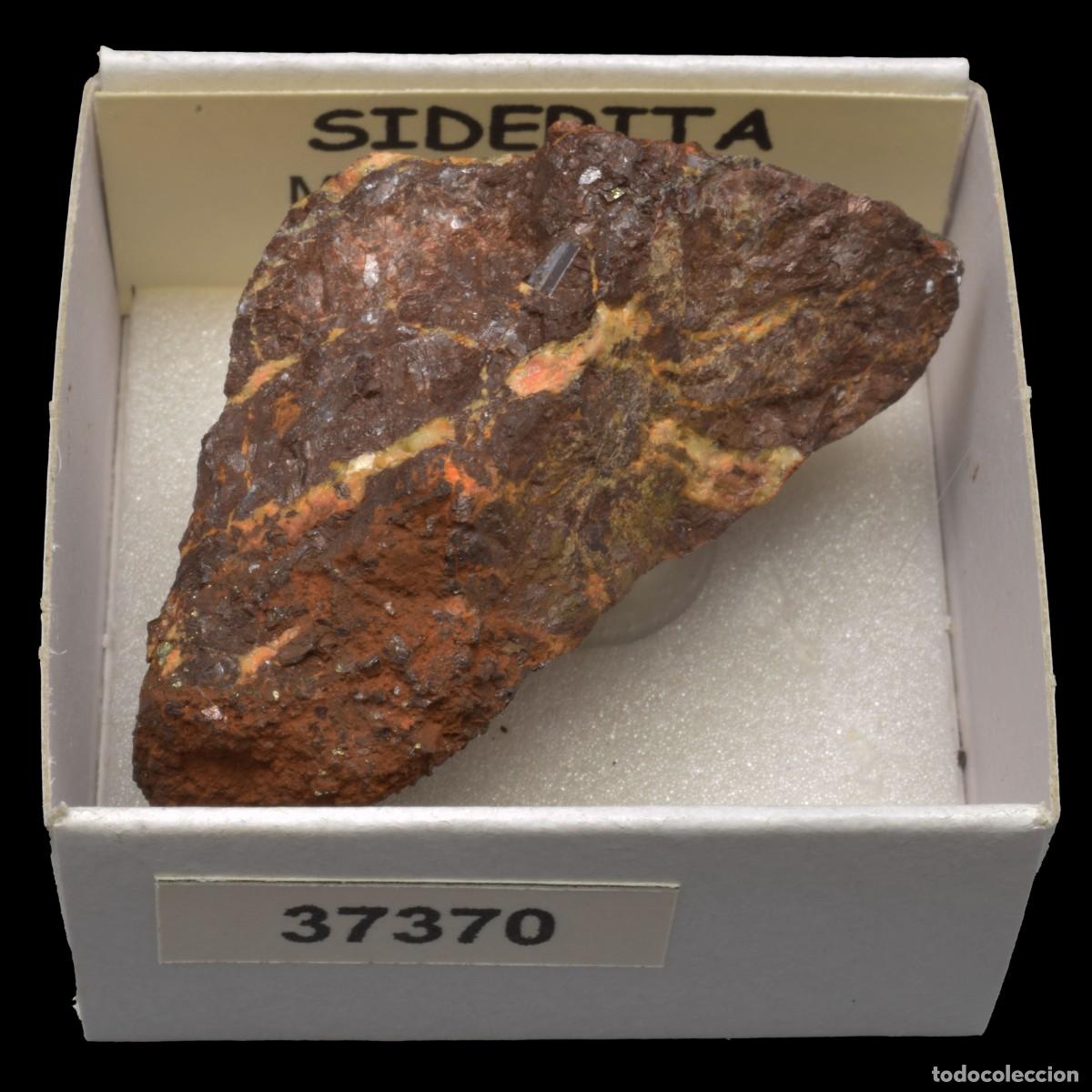 Coleccionismo de minerales: SIDERITA (Mina Zaragoza, Queralps, Girona, Espa&ntilde;a) #37370