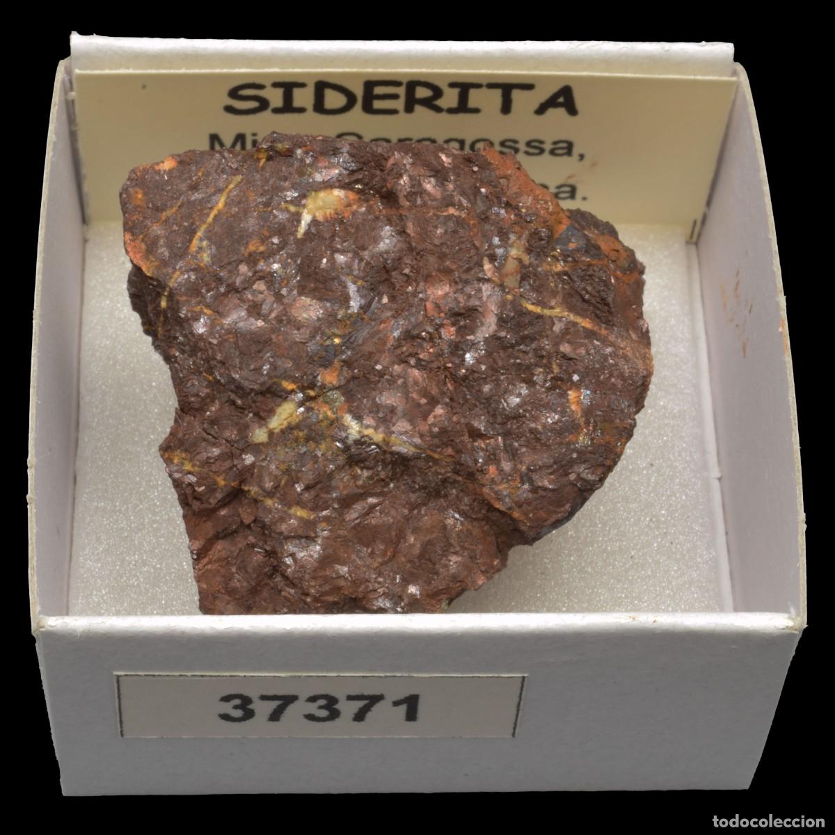 Coleccionismo de minerales: SIDERITA (Mina Zaragoza, Queralps, Girona, Espa&ntilde;a) #37371