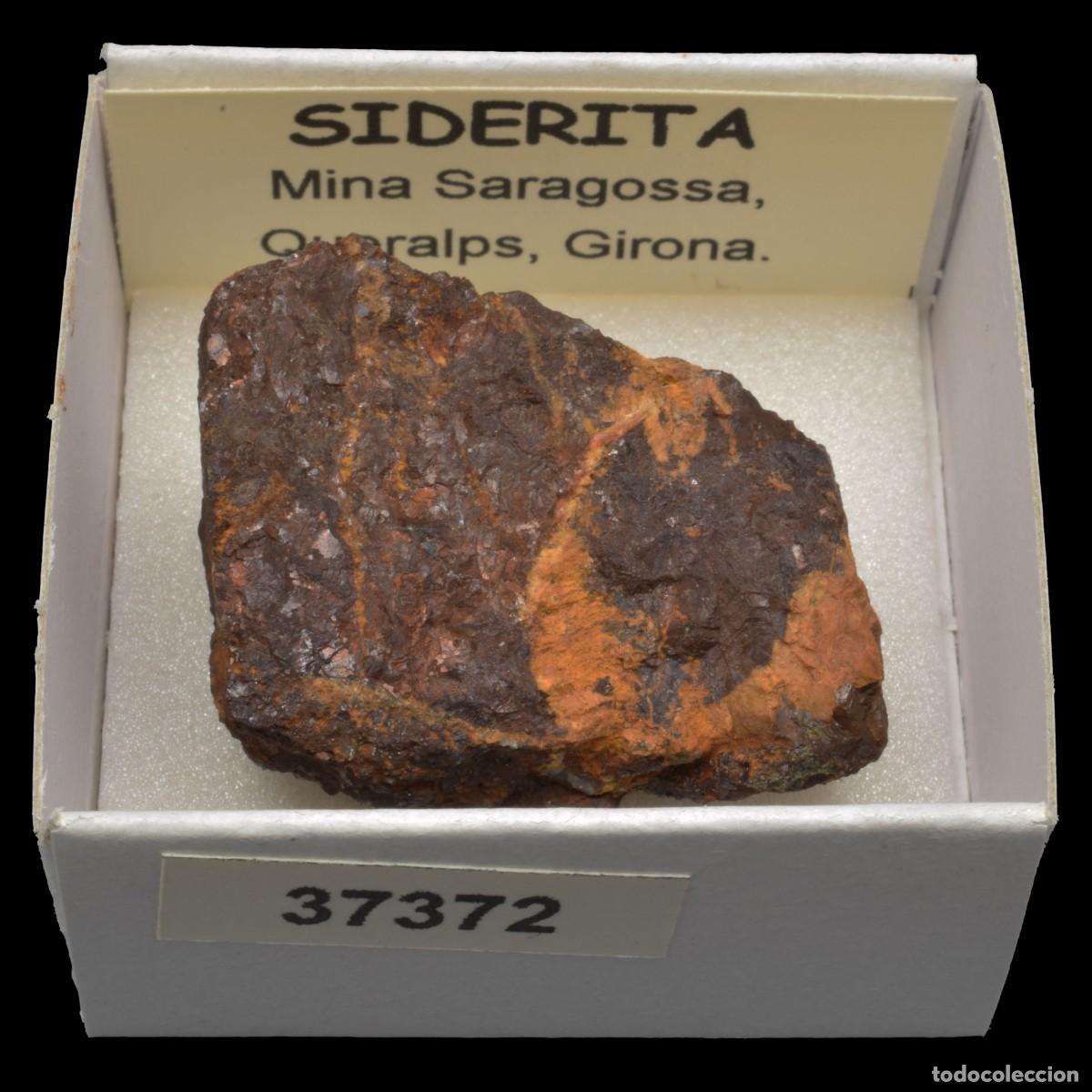 Coleccionismo de minerales: SIDERITA (Mina Zaragoza, Queralps, Girona, Espa&ntilde;a) #37372
