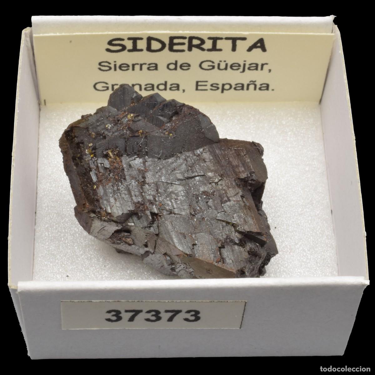 Coleccionismo de minerales: SIDERITA (Sierra de G&uuml;ejar, Granada, Espa&ntilde;a) #37373