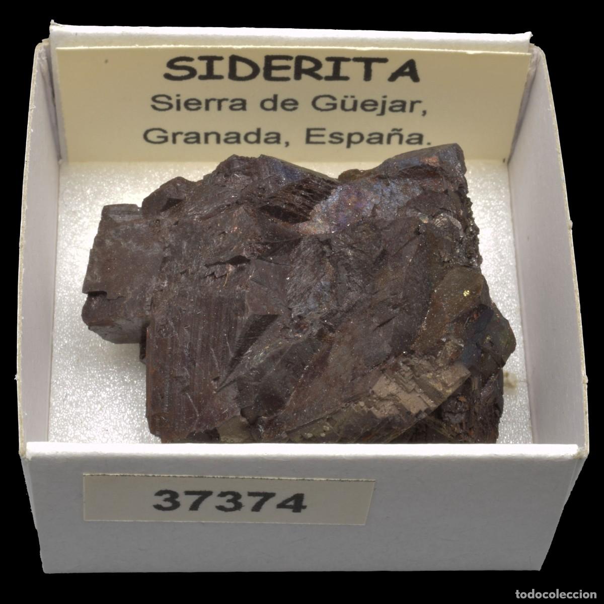Coleccionismo de minerales: SIDERITA (Sierra de G&uuml;ejar, Granada, Espa&ntilde;a) #37374