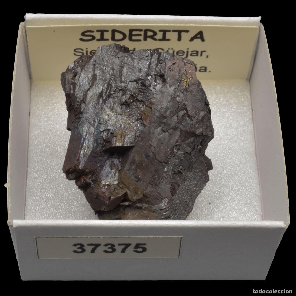 Coleccionismo de minerales: SIDERITA (Sierra de G&uuml;ejar, Granada, Espa&ntilde;a) #37375