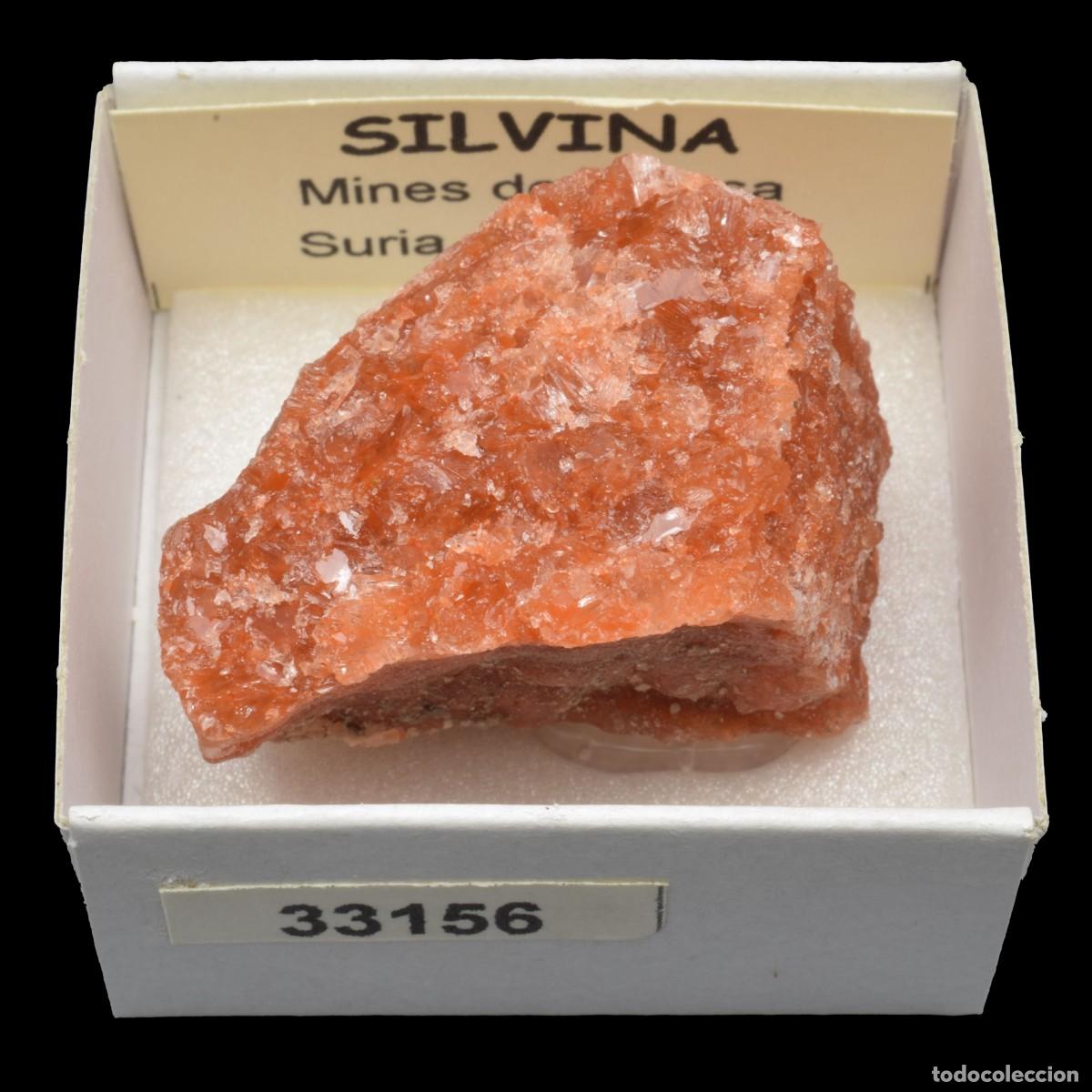 Coleccionismo de minerales: SILVINA (Mines de Potasa, Suria, Barcelona, Espa&ntilde;a) #33156