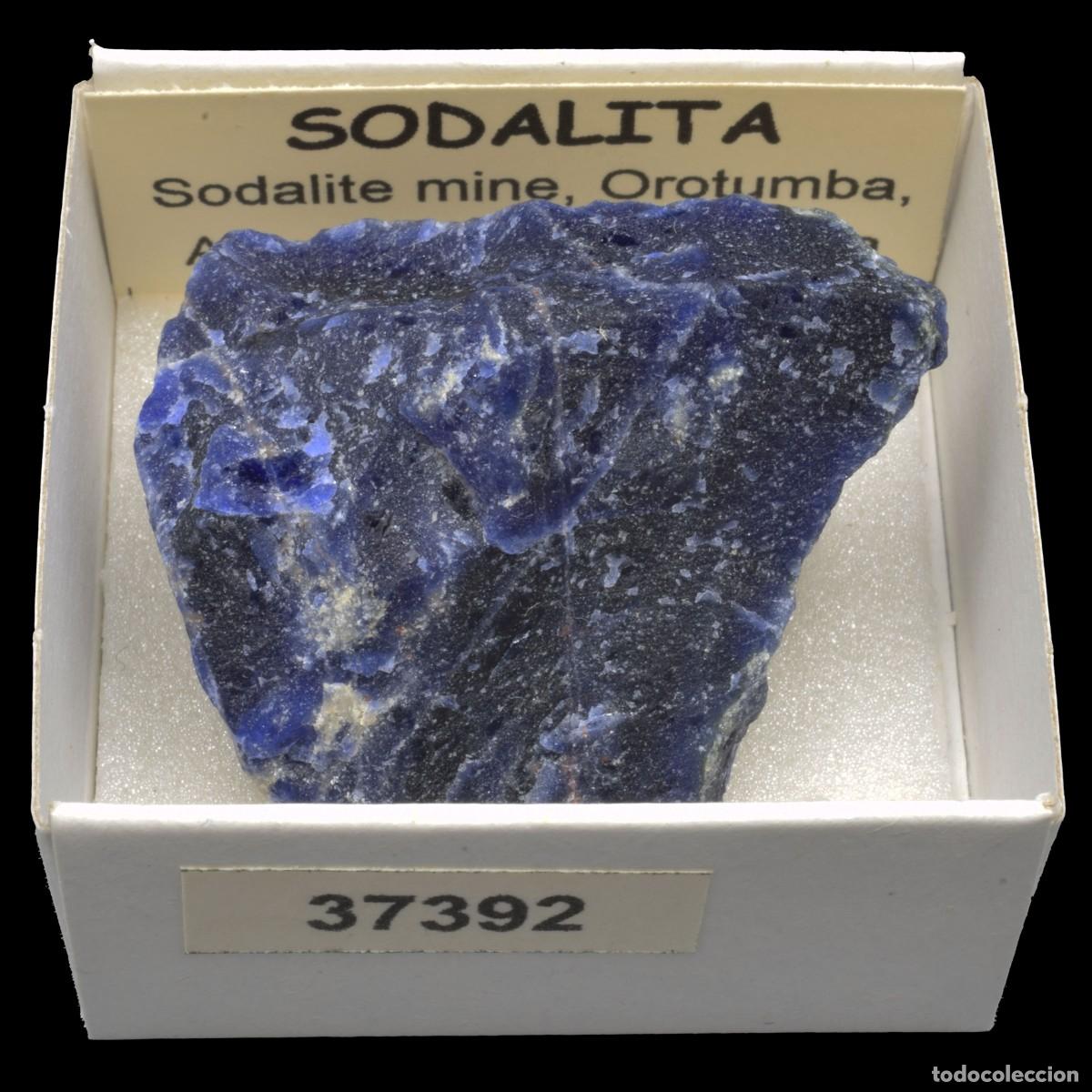 Coleccionismo de minerales: SODALITA (Sodalite mine, Orotumba, Swartbooisdrif, Namibia) #37392