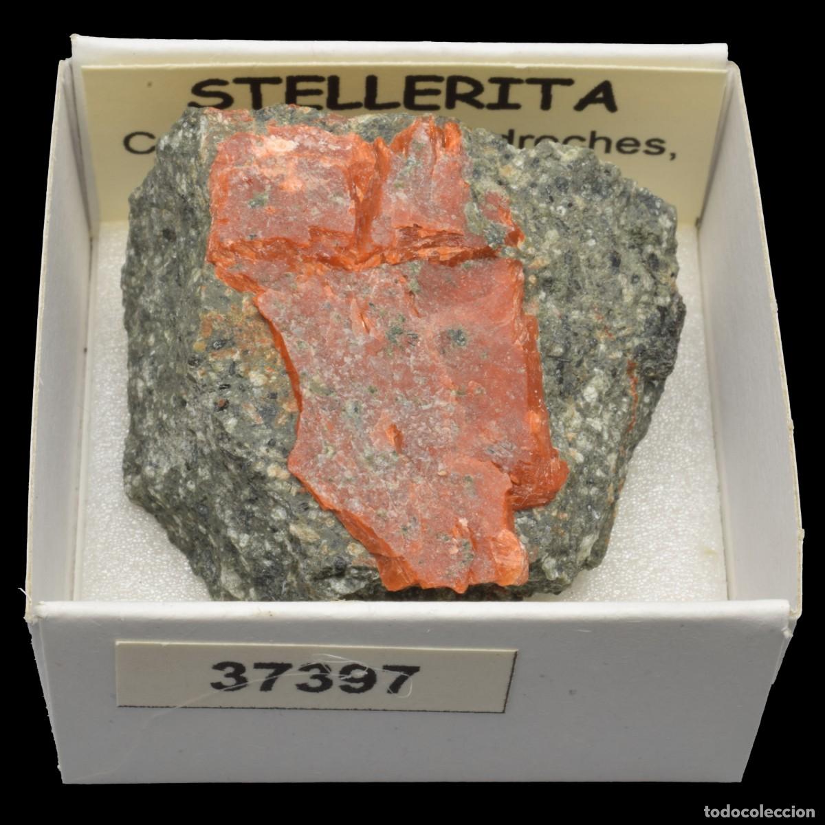 Coleccionismo de minerales: STELLERITA (Cantera de Alpedroches, Atienza, Guadalajara, Espa&ntilde;a) #37397