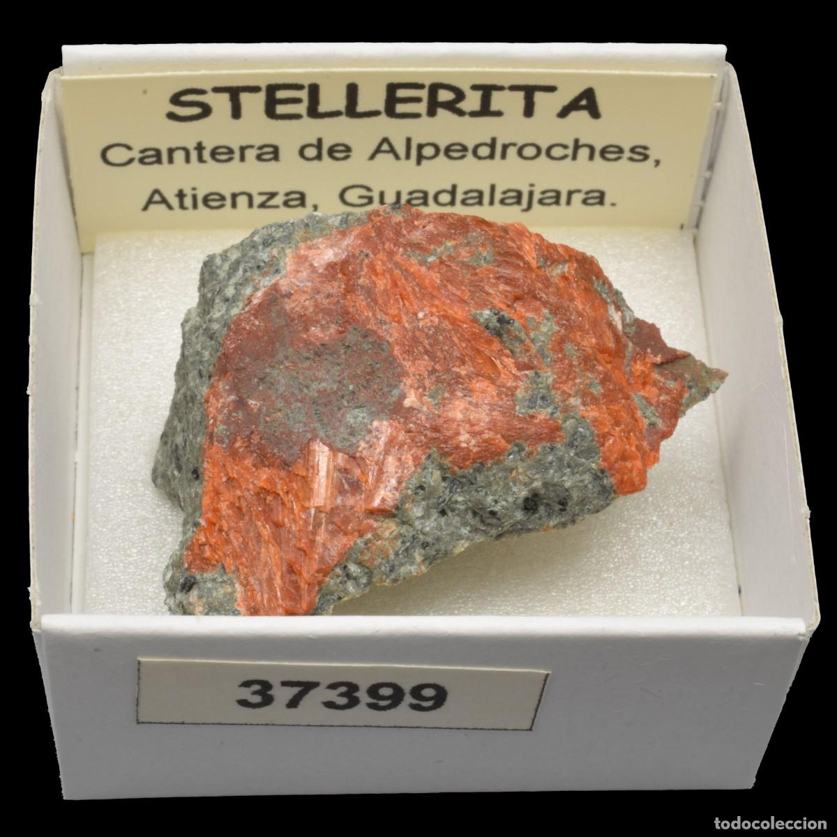 Coleccionismo de minerales: STELLERITA (Cantera de Alpedroches, Atienza, Guadalajara, Espa&ntilde;a) #37399