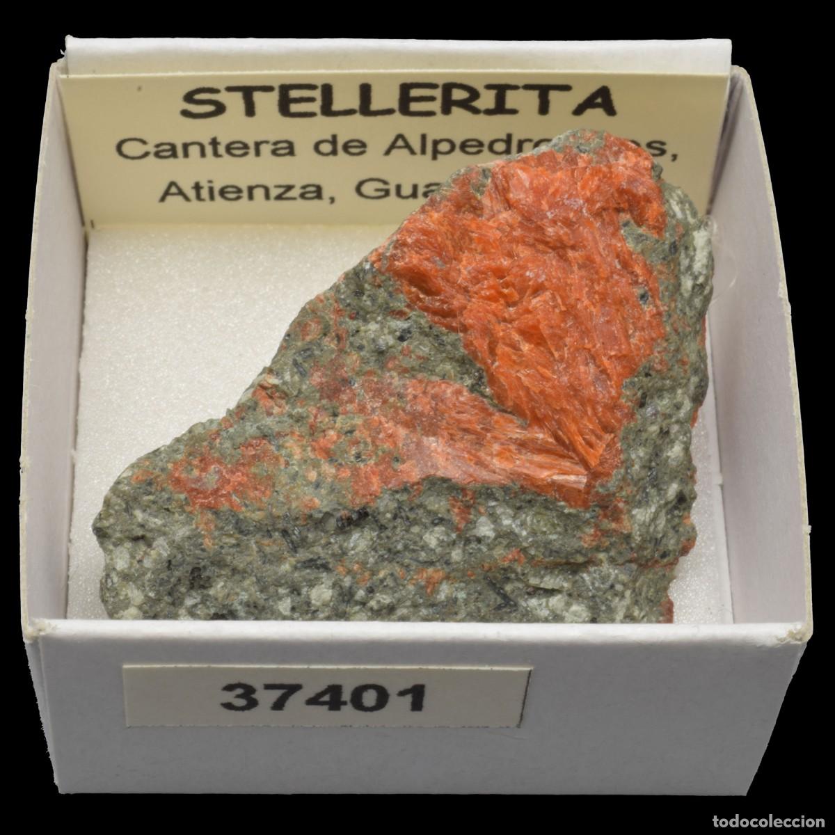 Coleccionismo de minerales: STELLERITA (Cantera de Alpedroches, Atienza, Guadalajara, Espa&ntilde;a) #37401