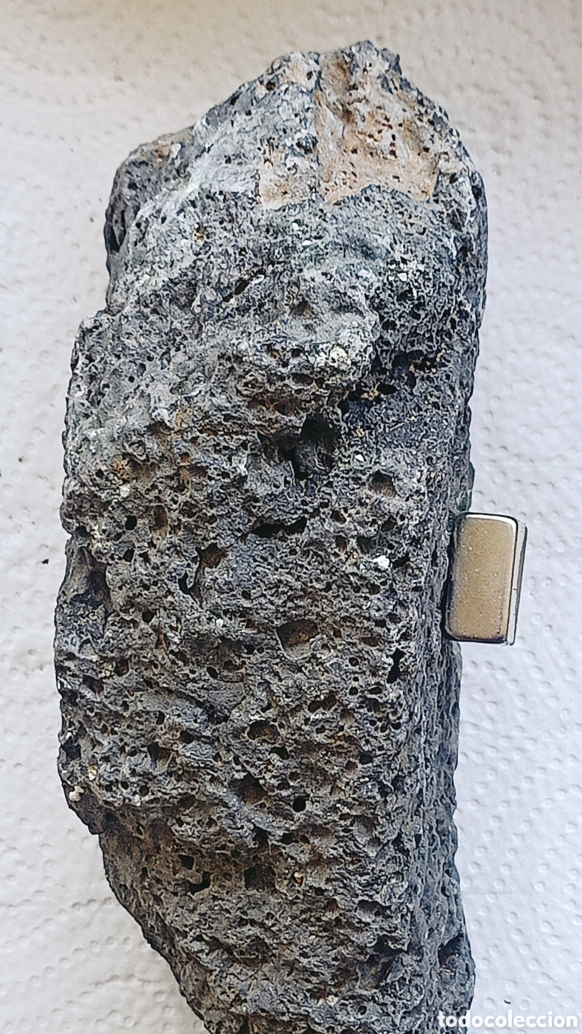 Coleccionismo de minerales: Roca magn&eacute;tica (RAREZA) - Foto 19