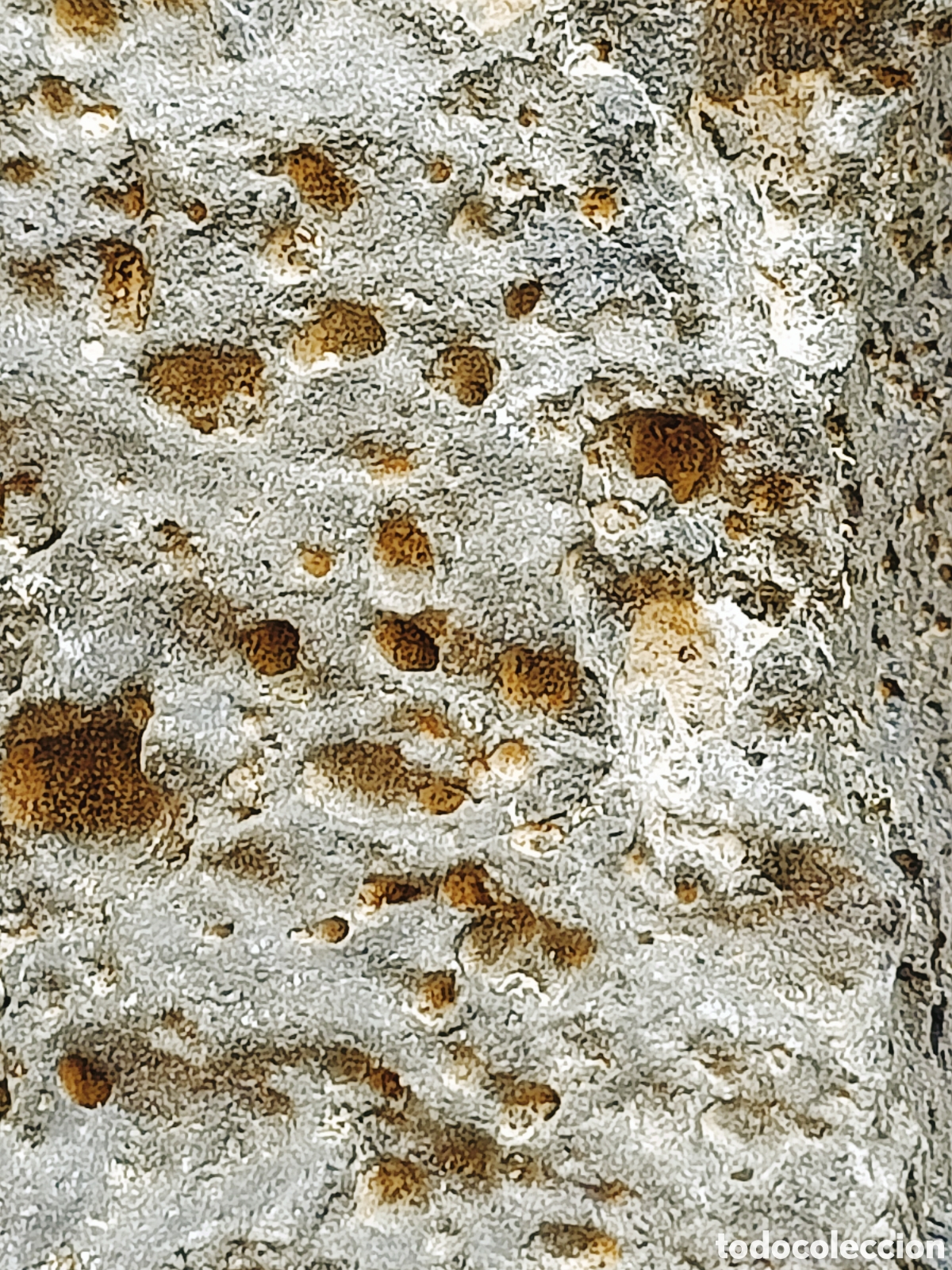 Coleccionismo de minerales: Roca magn&eacute;tica (RAREZA) - Foto 22