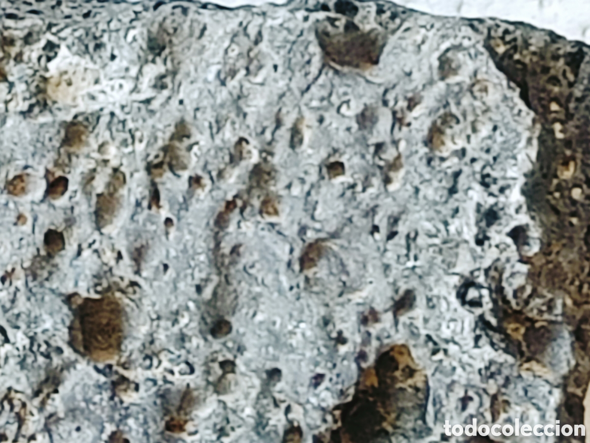 Coleccionismo de minerales: Roca magn&eacute;tica (RAREZA) - Foto 24