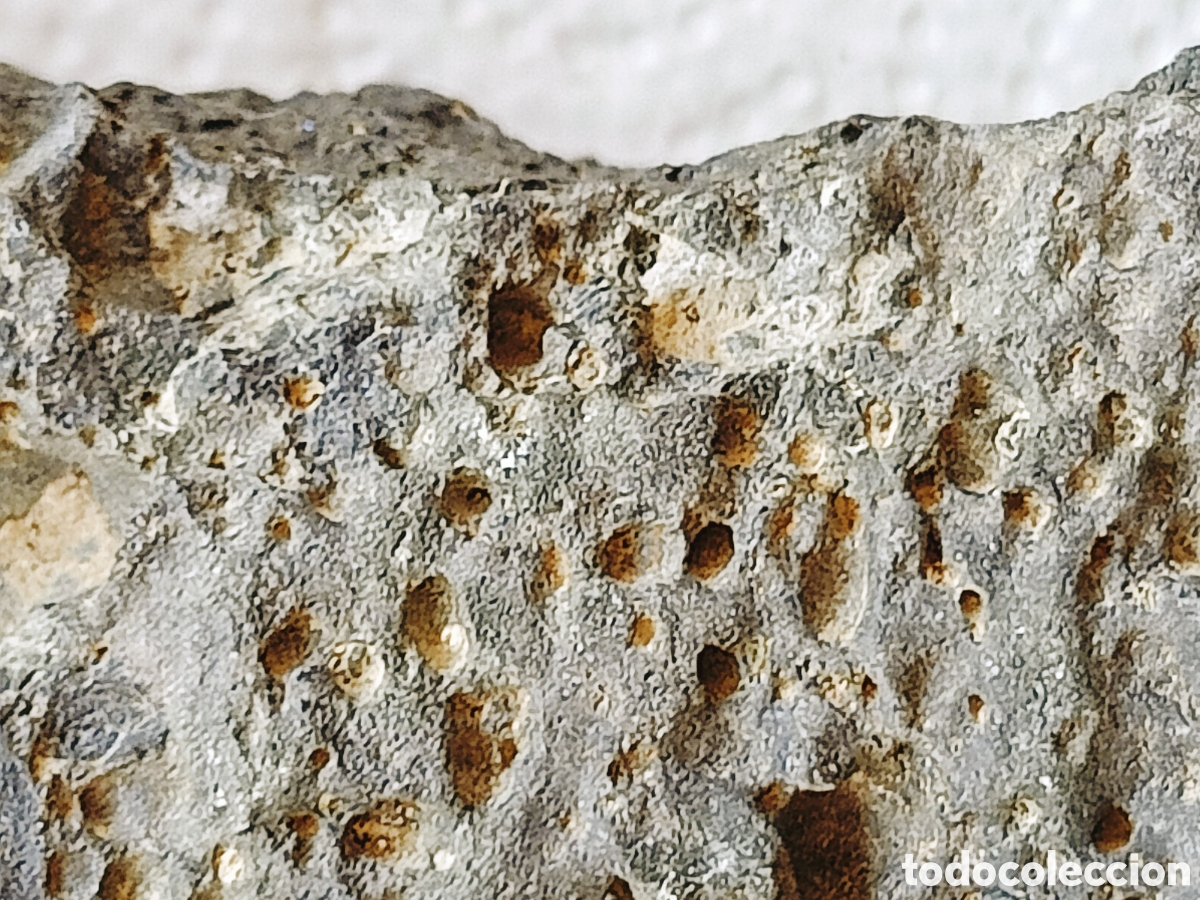 Coleccionismo de minerales: Roca magn&eacute;tica (RAREZA) - Foto 27