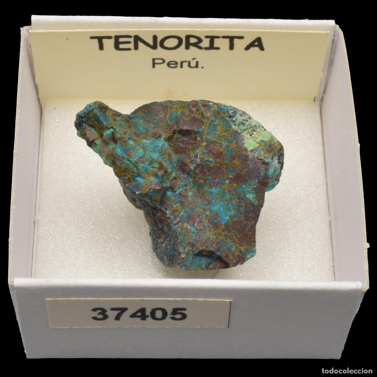 Coleccionismo de minerales: TENORITA (Peru) #37405