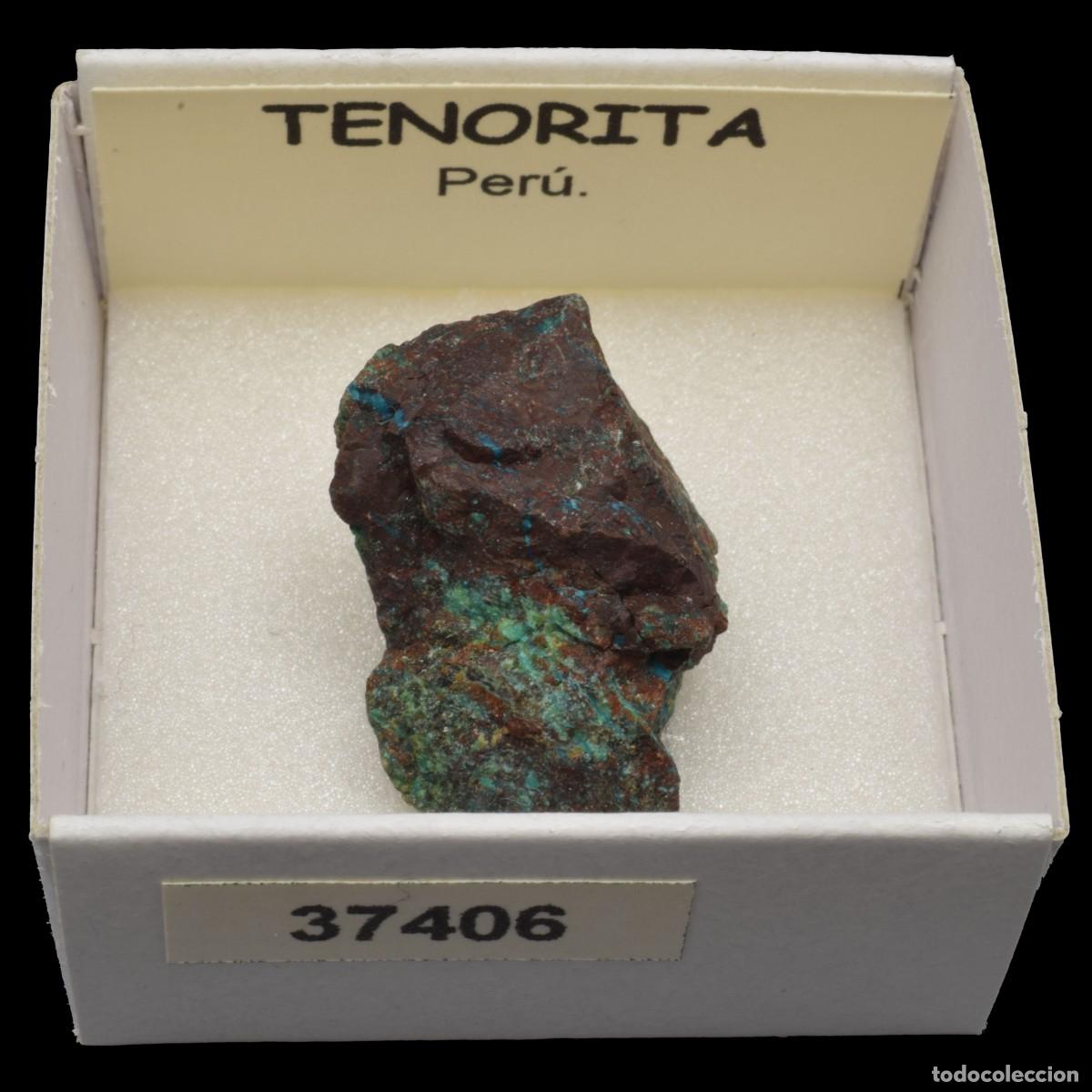 Coleccionismo de minerales: TENORITA (Peru) #37406
