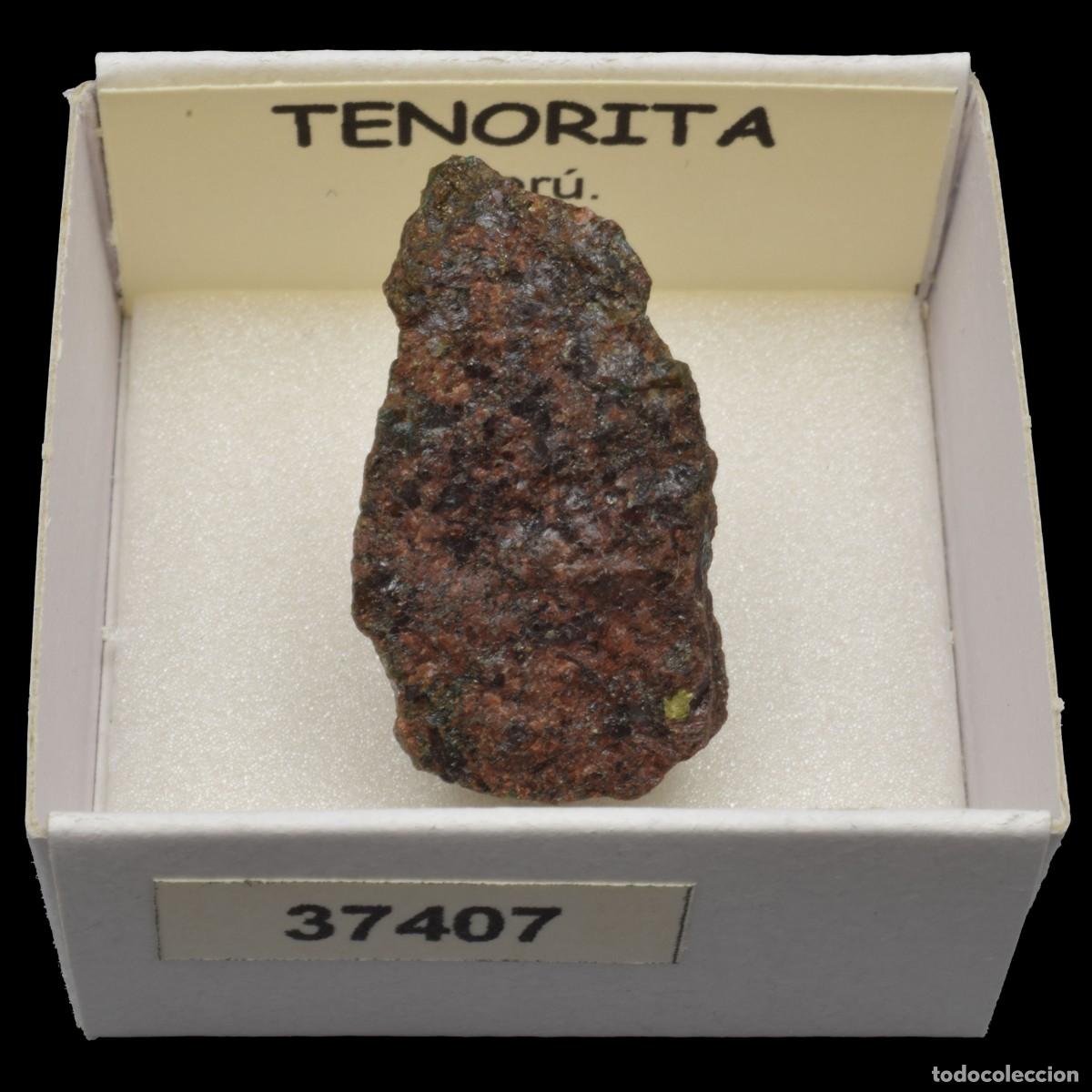 Coleccionismo de minerales: TENORITA (Peru) #37407