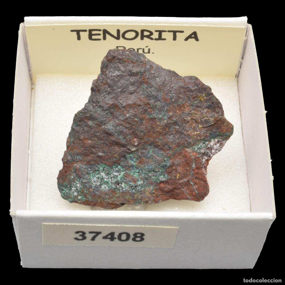 Coleccionismo de minerales: TENORITA (Peru) #37408