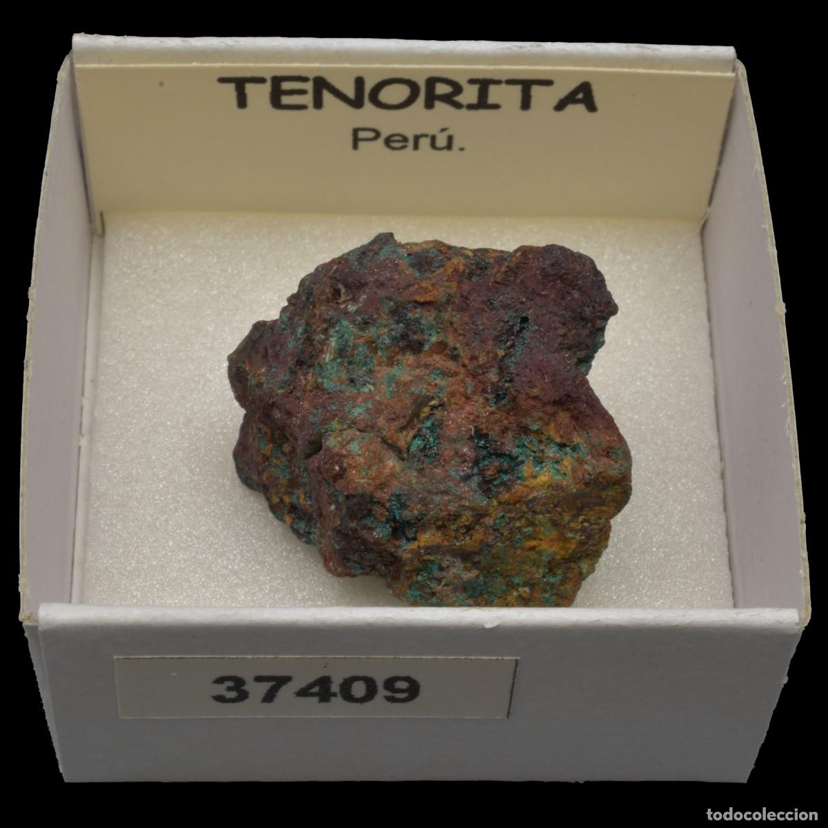 Coleccionismo de minerales: TENORITA (Peru) #37409
