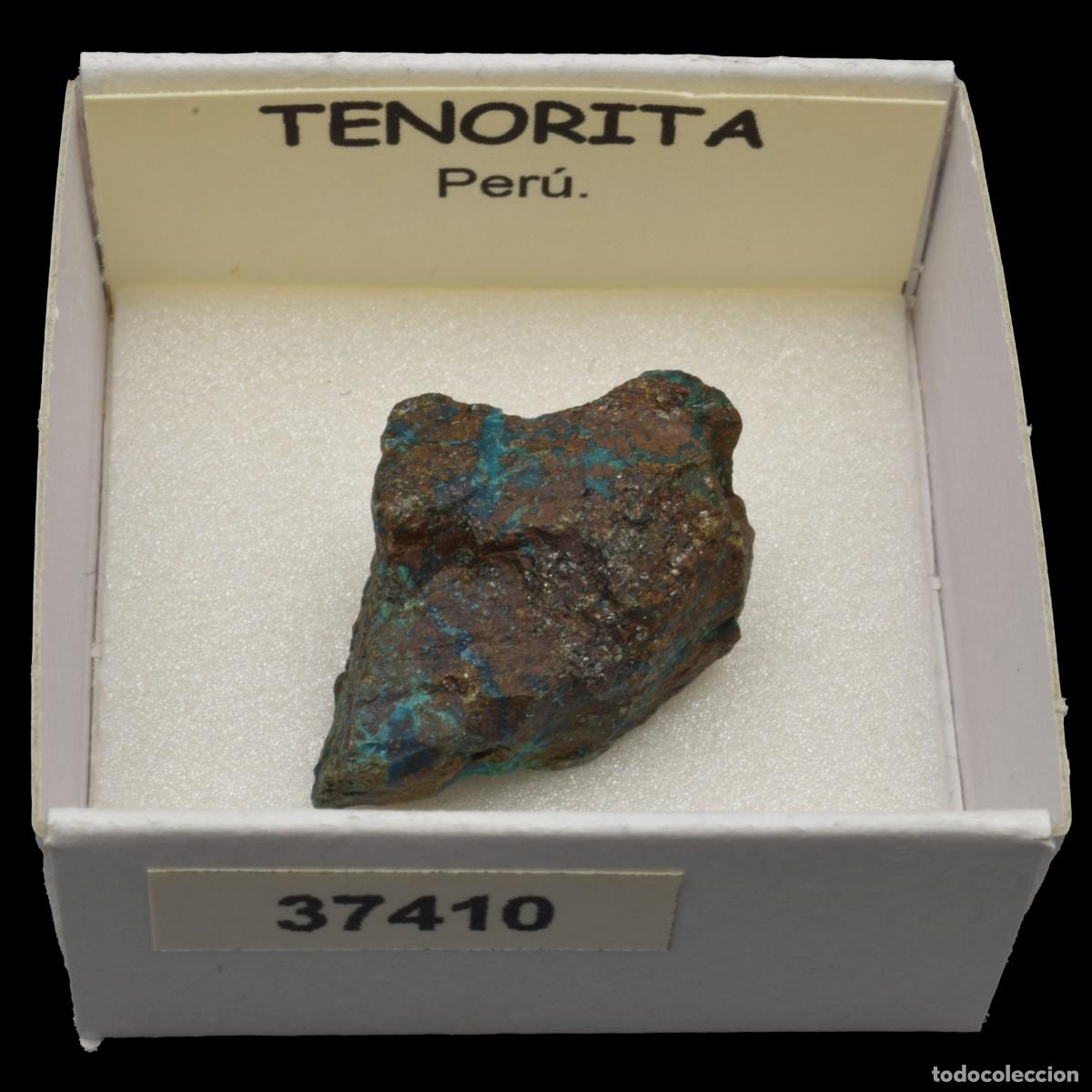 Coleccionismo de minerales: TENORITA (Peru) #37410
