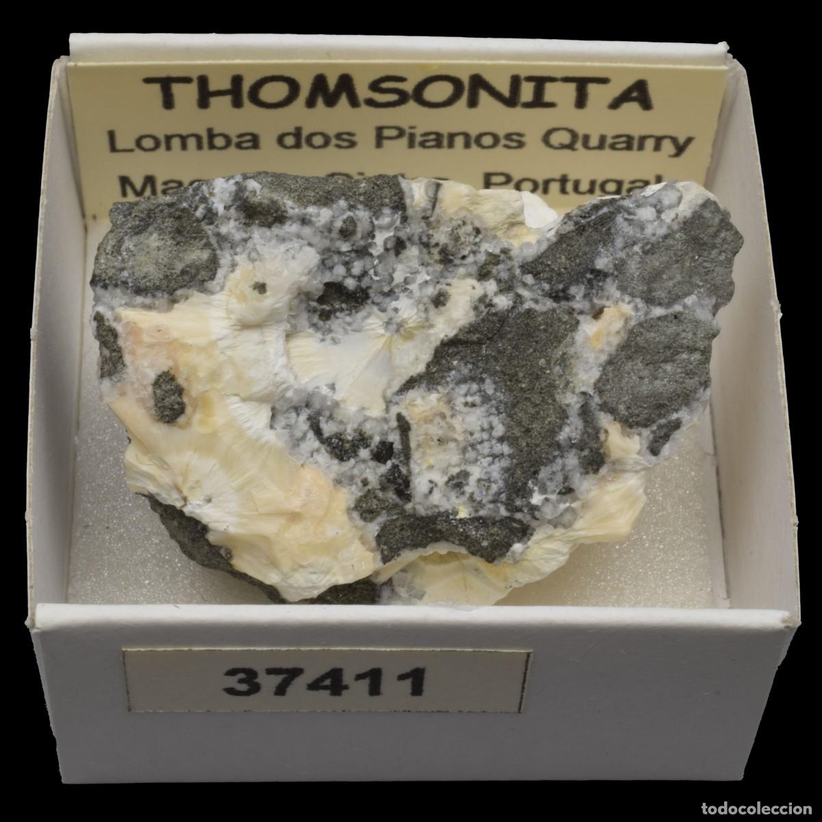 Coleccionismo de minerales: THOMSONITA (Lomba dos Pianos Quarry, Magoito, Sintra, Portugal) #37411