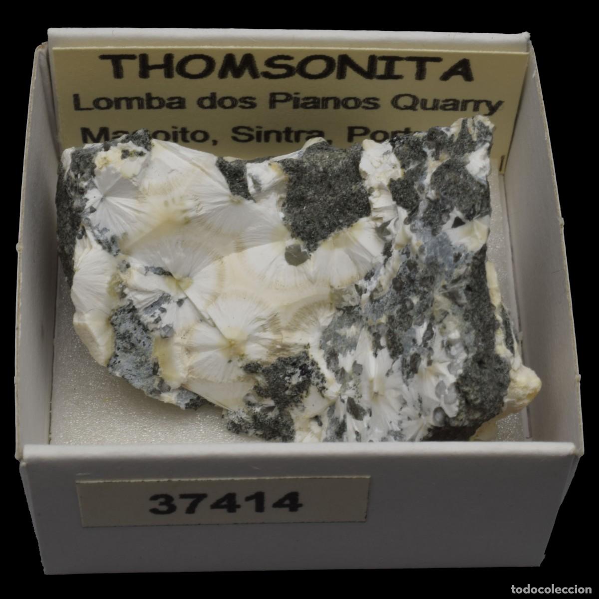 Coleccionismo de minerales: THOMSONITA (Lomba dos Pianos Quarry, Magoito, Sintra, Portugal) #37414