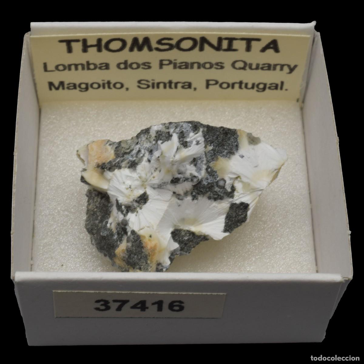 Coleccionismo de minerales: THOMSONITA (Lomba dos Pianos Quarry, Magoito, Sintra, Portugal) #37416