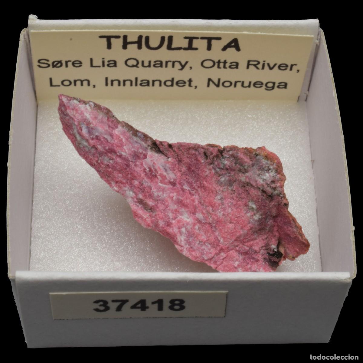 Colecionismo de minerais: THULITA (S&oslash;re Lia Quarry, Otta River, Lom, Innlandet, Noruega) #37418