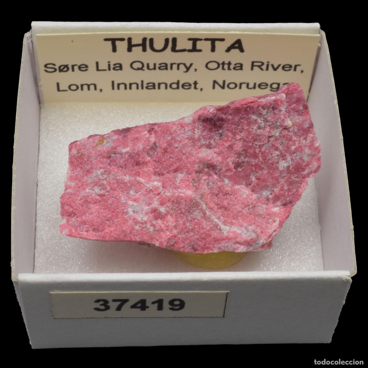 Colecionismo de minerais: THULITA (S&oslash;re Lia Quarry, Otta River, Lom, Innlandet, Noruega) #37419