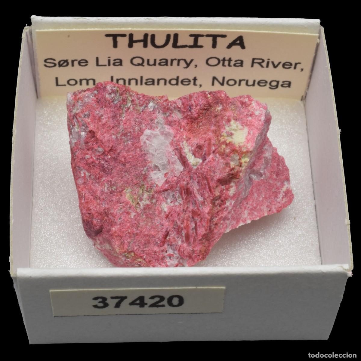 Colecionismo de minerais: THULITA (S&oslash;re Lia Quarry, Otta River, Lom, Innlandet, Noruega) #37420