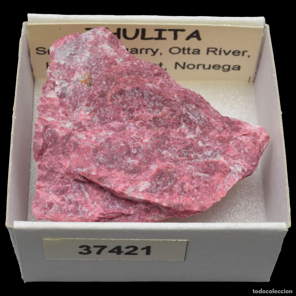 Colecionismo de minerais: THULITA (S&oslash;re Lia Quarry, Otta River, Lom, Innlandet, Noruega) #37421