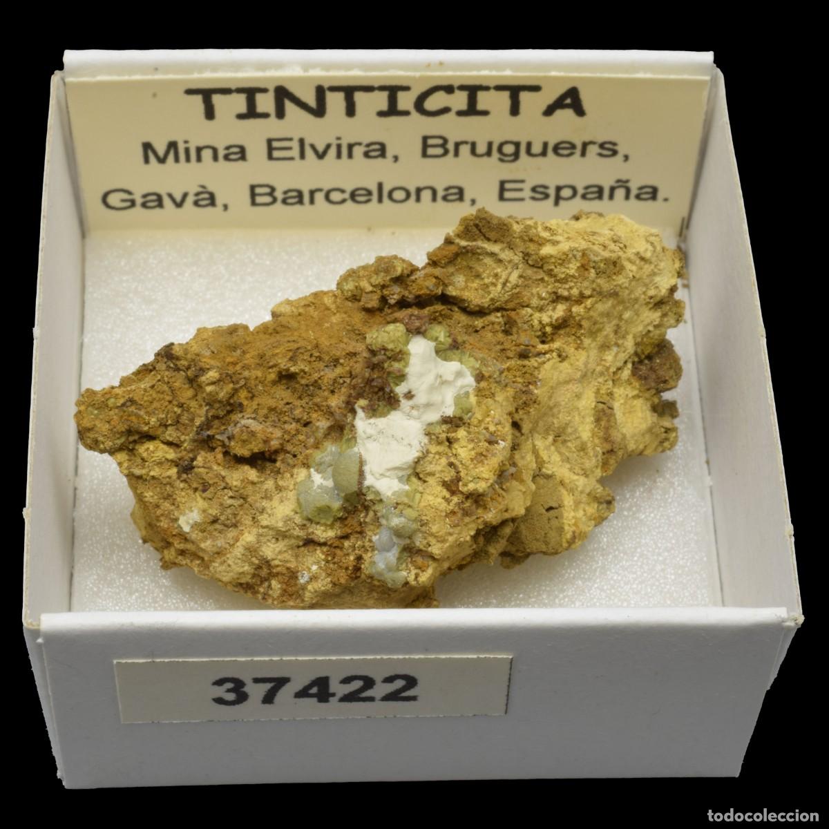 Colecionismo de minerais: TINTICITA (Mina Elvira, Bruguers, Gava, Barcelona, Espa&ntilde;a) #37422