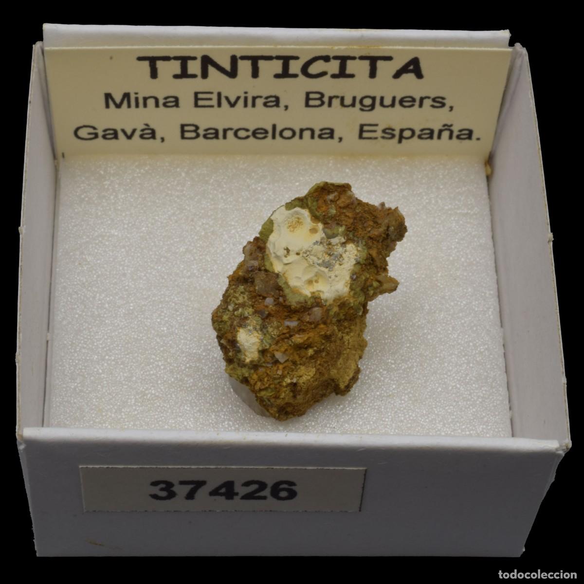Collezionismo di minerali: TINTICITA (Mina Elvira, Bruguers, Gava, Barcelona, Espa&ntilde;a) #37426