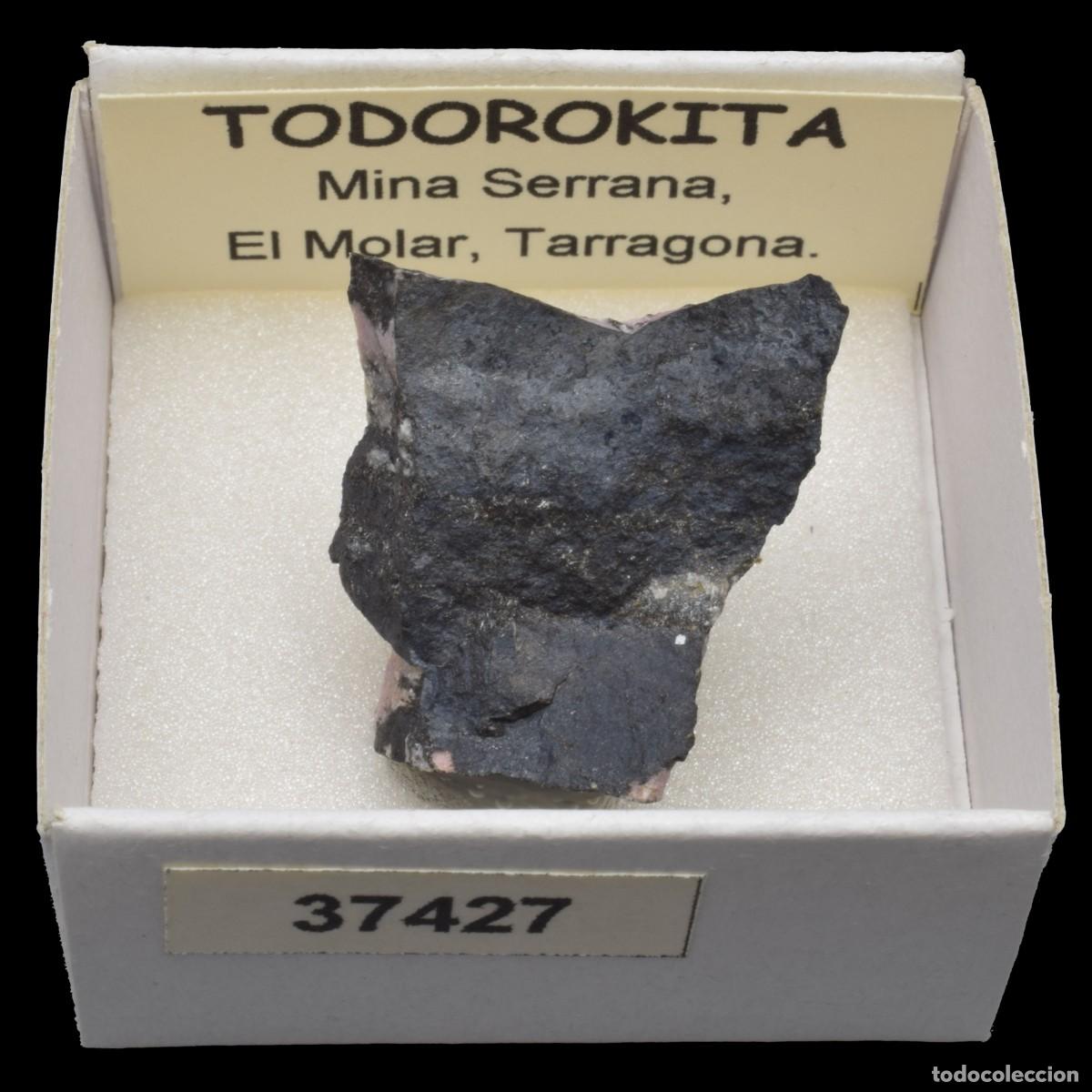Collezionismo di minerali: TODOROKITA (Mina Serrana, El Molar, Tarragona, Espa&ntilde;a) #37427