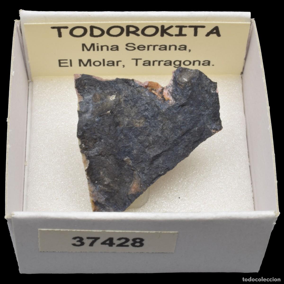 Collezionismo di minerali: TODOROKITA (Mina Serrana, El Molar, Tarragona, Espa&ntilde;a) #37428