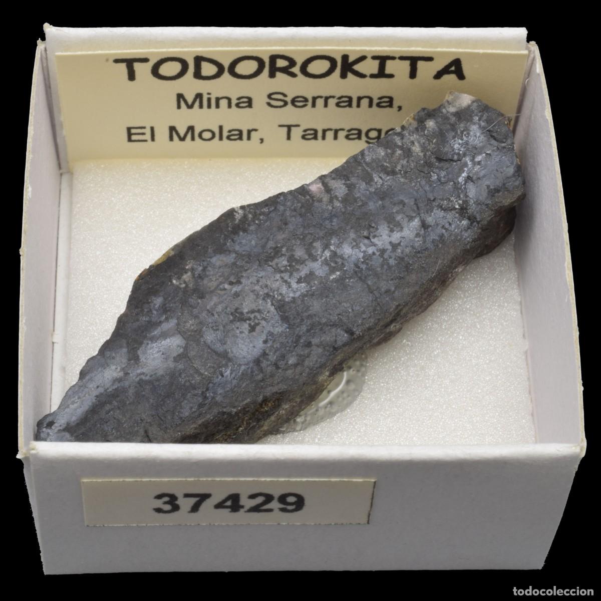 Collezionismo di minerali: TODOROKITA (Mina Serrana, El Molar, Tarragona, Espa&ntilde;a) #37429