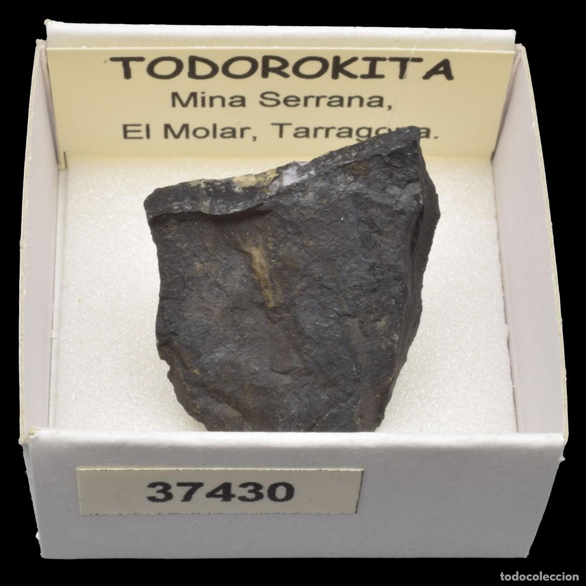 Collezionismo di minerali: TODOROKITA (Mina Serrana, El Molar, Tarragona, Espa&ntilde;a) #37430