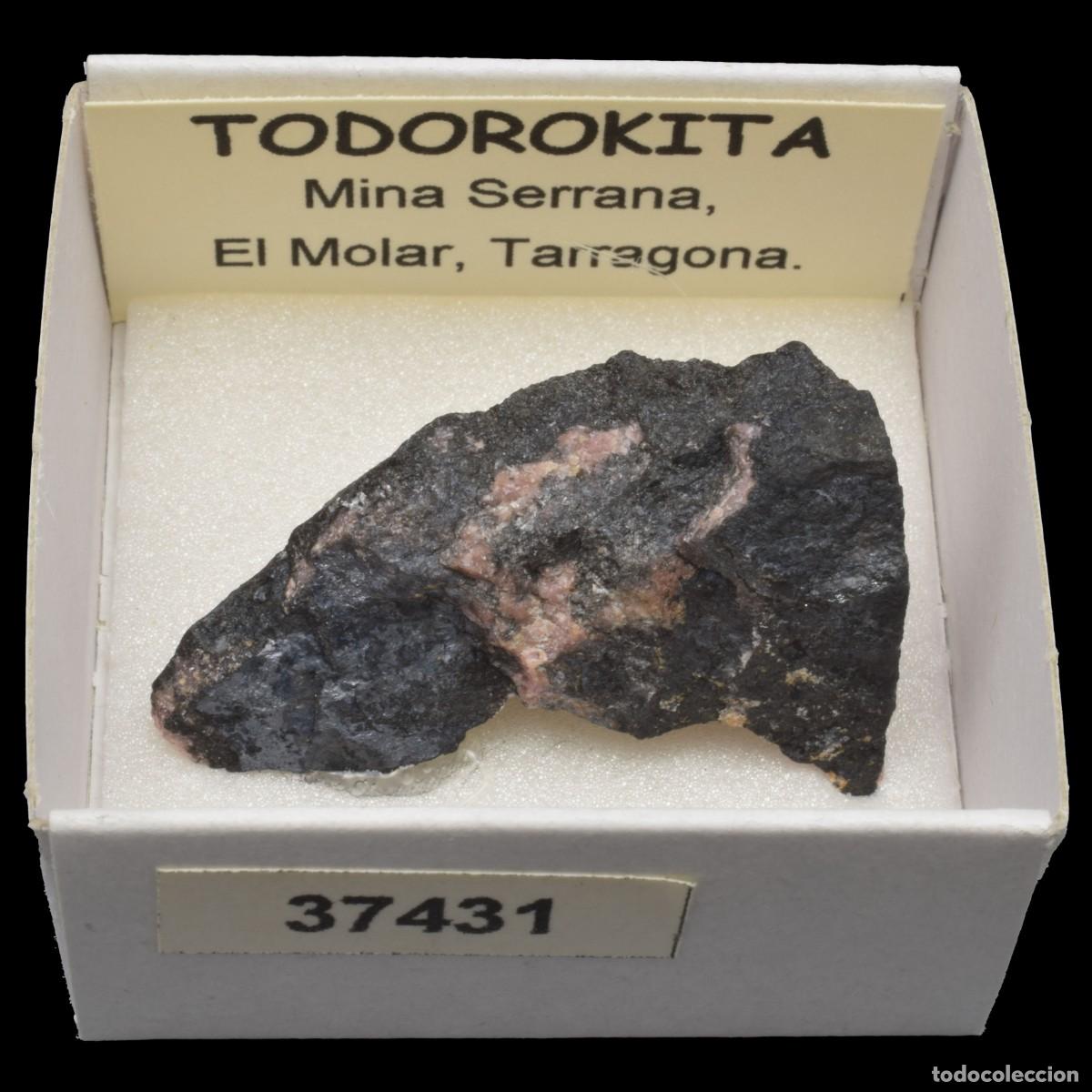 Collezionismo di minerali: TODOROKITA (Mina Serrana, El Molar, Tarragona, Espa&ntilde;a) #37431