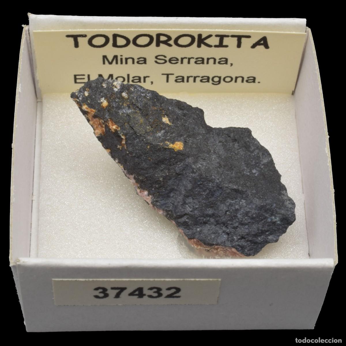 Coleccionismo de minerales: TODOROKITA (Mina Serrana, El Molar, Tarragona, Espa&ntilde;a) #37432