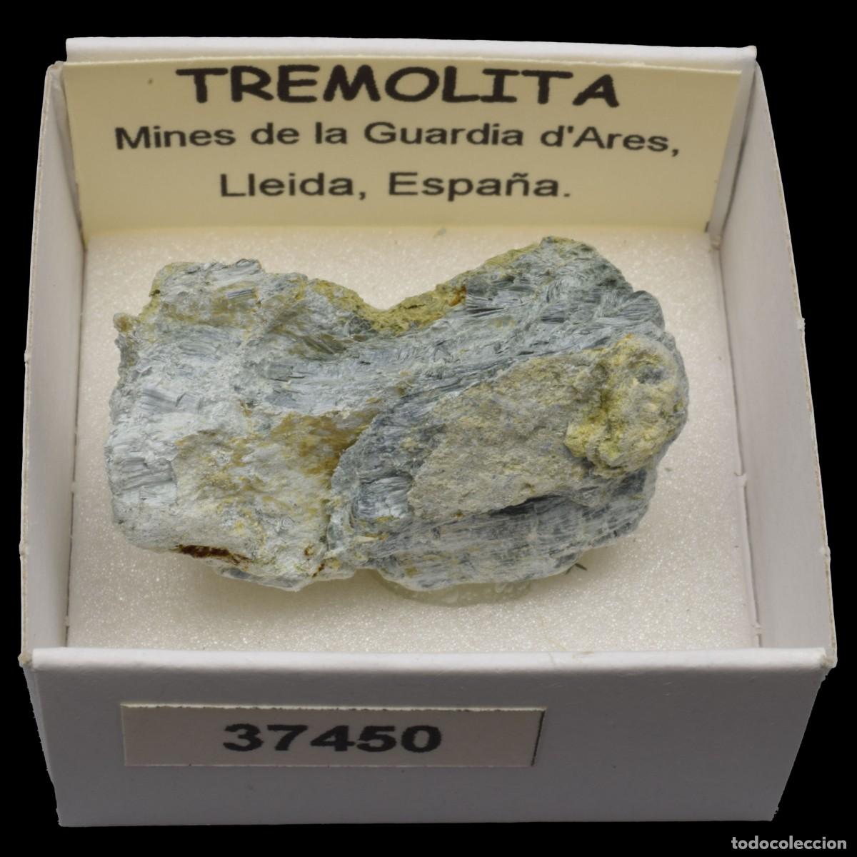 Collezionismo di minerali: TREMOLITA (Mines de la Guardia d'Ares, Lleida, Espa&ntilde;a) #37450