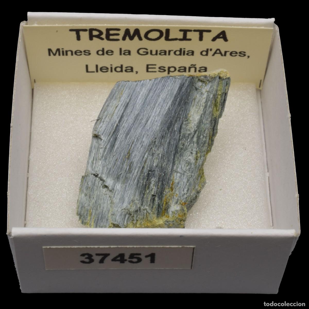Coleccionismo de minerales: TREMOLITA (Mines de la Guardia d'Ares, Lleida, Espa&ntilde;a) #37451