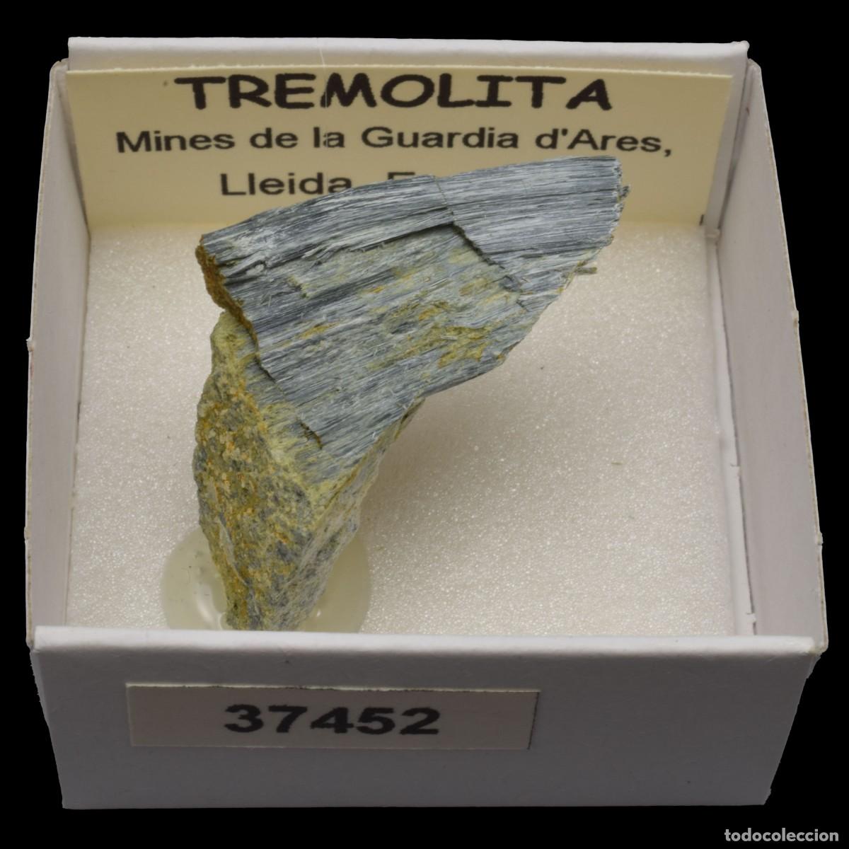 Coleccionismo de minerales: TREMOLITA (Mines de la Guardia d'Ares, Lleida, Espa&ntilde;a) #37452
