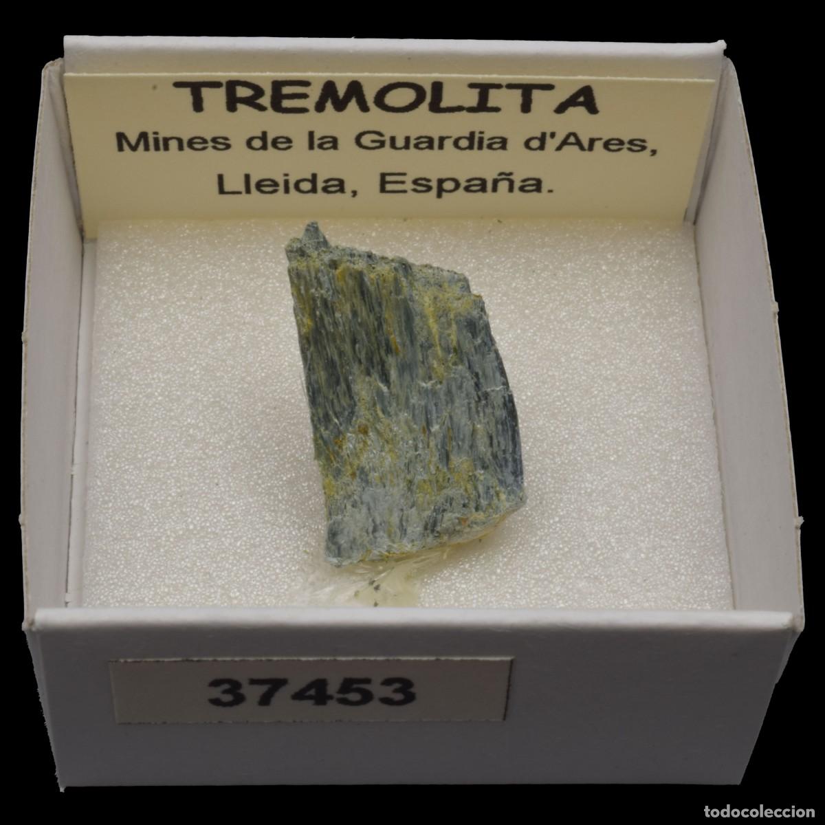 Coleccionismo de minerales: TREMOLITA (Mines de la Guardia d'Ares, Lleida, Espa&ntilde;a) #37453