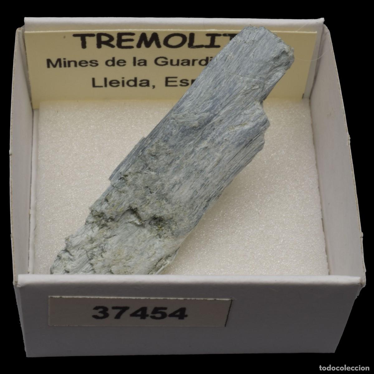 Coleccionismo de minerales: TREMOLITA (Mines de la Guardia d'Ares, Lleida, Espa&ntilde;a) #37454