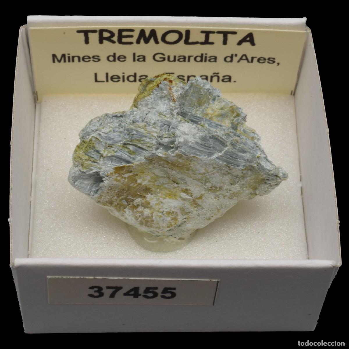 Coleccionismo de minerales: TREMOLITA (Mines de la Guardia d'Ares, Lleida, Espa&ntilde;a) #37455