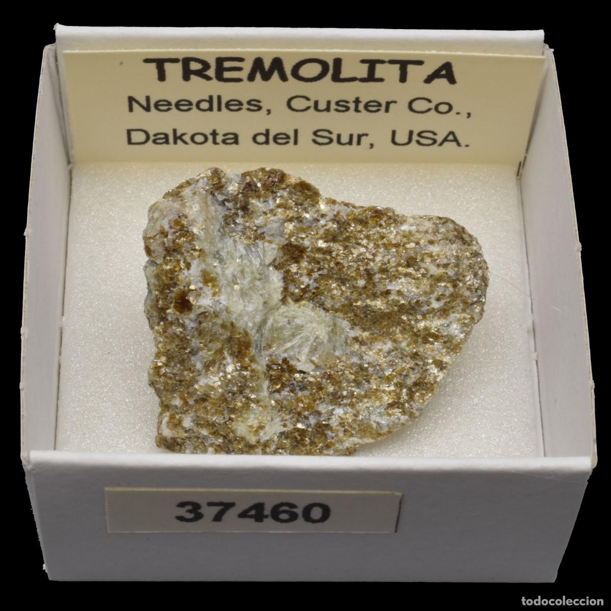 Coleccionismo de minerales: TREMOLITA (Needdles, Custer Co., Dakota del Sur, USA) #37460