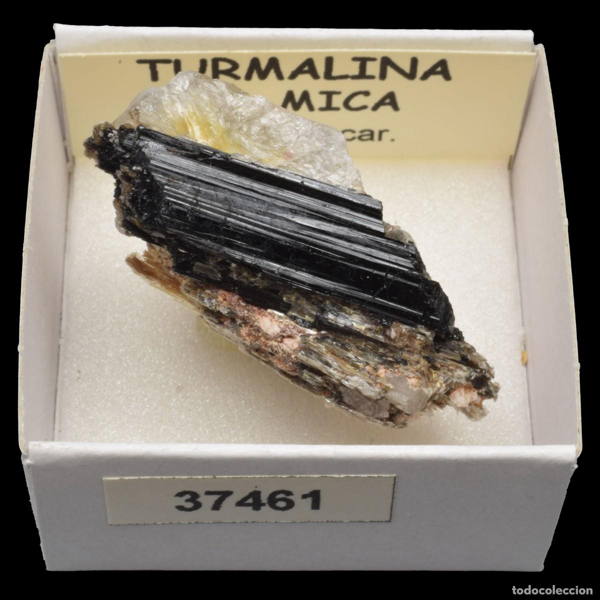 Coleccionismo de minerales: TURMALINA con mica (Madagascar) #37461