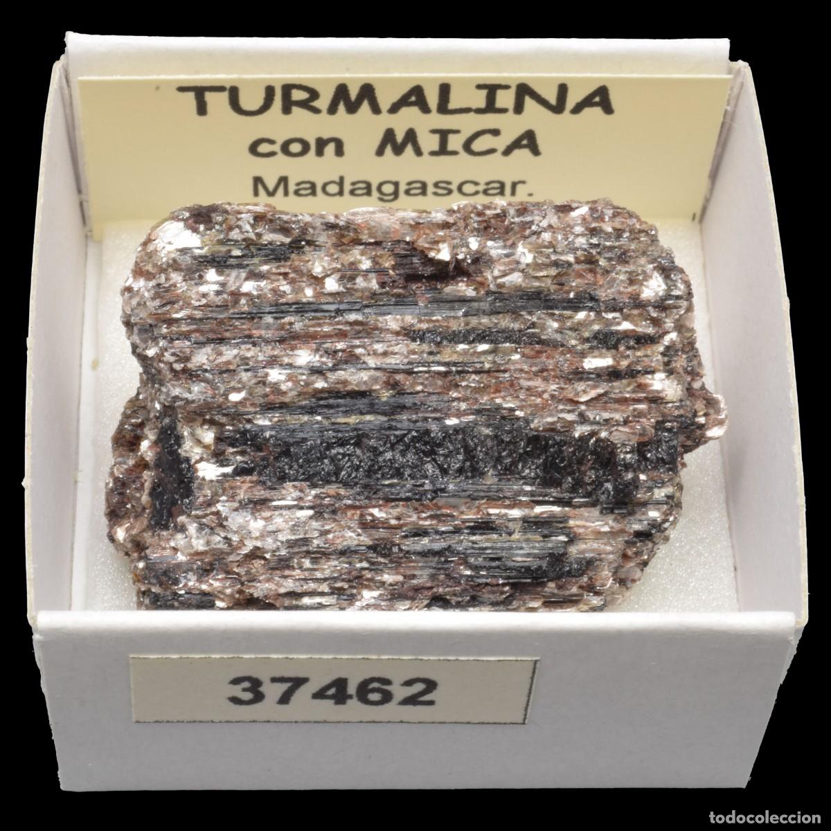 Coleccionismo de minerales: TURMALINA con mica (Madagascar) #37462