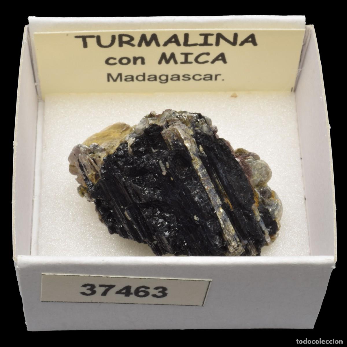 Coleccionismo de minerales: TURMALINA con mica (Madagascar) #37463